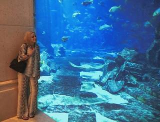 Amy Macdonald feet photo thumbnail