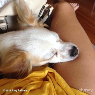 Amy Paffrath feet photo 4
