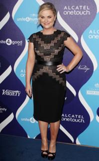 Amy Poehler feet photo thumbnail