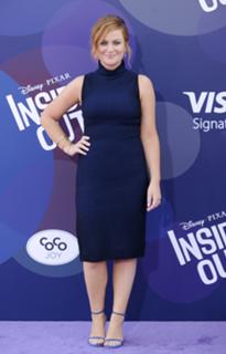 Amy Poehler feet photo thumbnail
