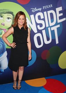 Amy Poehler feet photo thumbnail