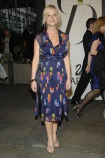 Amy Poehler feet photo thumbnail