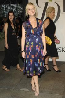 Amy Poehler feet photo thumbnail