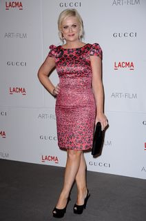 Amy Poehler feet photo thumbnail