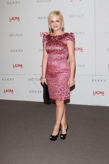 Amy Poehler feet photo thumbnail