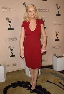 Amy Poehler feet photo thumbnail