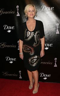 Amy Poehler feet photo thumbnail