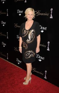 Amy Poehler feet photo thumbnail
