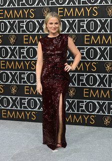 Amy Poehler feet photo thumbnail