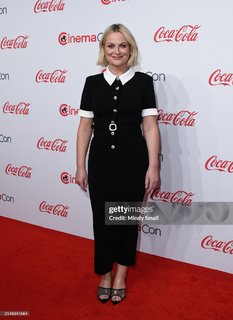 Amy Poehler feet photo thumbnail