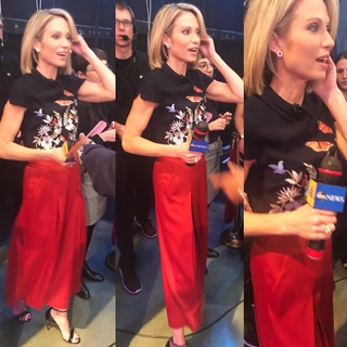 Amy Robach feet photo thumbnail