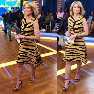 Amy Robach feet photo thumbnail