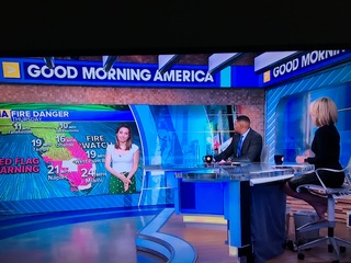 Amy Robach feet photo thumbnail
