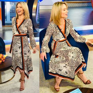 Amy Robach feet photo thumbnail