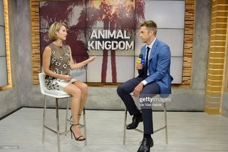 Amy Robach feet photo thumbnail