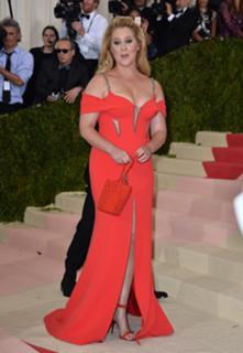Amy Schumer feet photo thumbnail