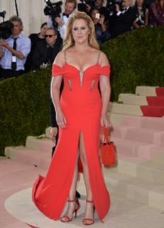 Amy Schumer feet photo thumbnail
