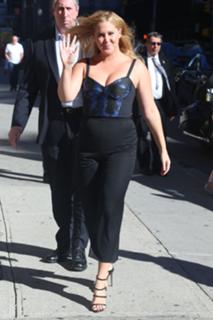 Amy Schumer feet photo thumbnail