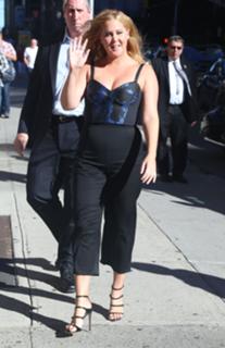 Amy Schumer feet photo thumbnail