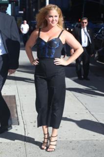 Amy Schumer feet photo thumbnail