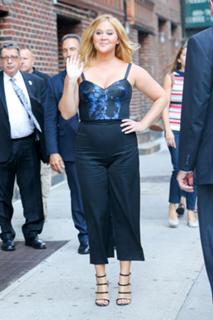 Amy Schumer feet photo thumbnail