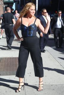 Amy Schumer feet photo thumbnail
