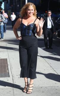 Amy Schumer feet photo thumbnail