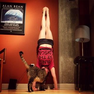 Amy Shira Teitel feet photo 1