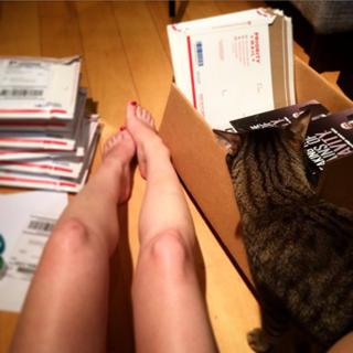 Amy Shira Teitel feet photo 18