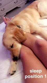 Amymarie Gaertner feet photo 8