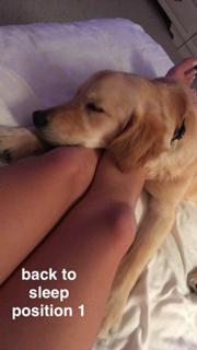 Amymarie Gaertner feet photo 7