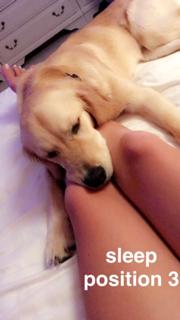 Amymarie Gaertner feet photo 6