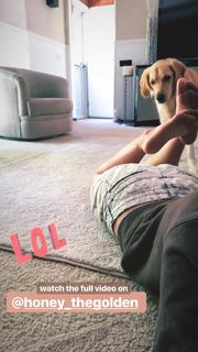 Amymarie Gaertner feet photo 4