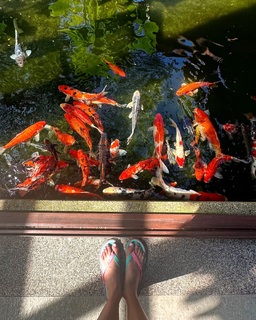 Amyra Dastur feet photo 15