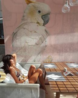Ana Albadalejo feet photo 9