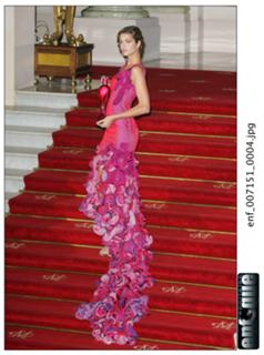 Ana Beatriz Barros feet photo thumbnail