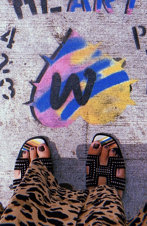 Ana Brenda Contreras feet photo thumbnail