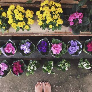 Ana Caetano feet photo 2
