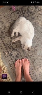 Ana Cañas feet photo 1