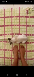 Ana Cañas feet photo 16