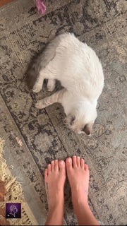 Ana Cañas feet photo 15