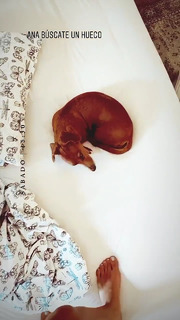 Ana Fernández feet photo thumbnail