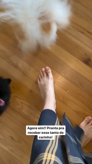 Ana Furtado feet photo 16