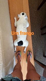 Ana Guiomar feet photo 3