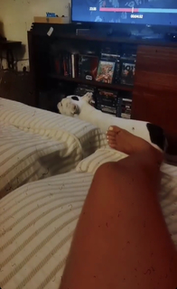 Ana Guiomar feet photo 4
