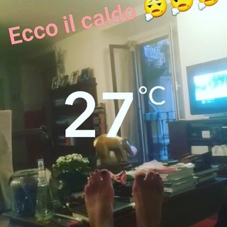 Ana Laura Ribas feet photo 14