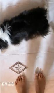 Ana Laura Ribas feet photo 19
