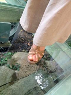 Ana Maria Braga feet photo 2
