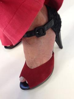 Ana Maria Braga feet photo 13