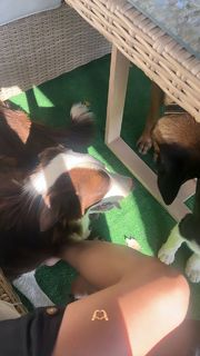 Ana Mena feet photo thumbnail